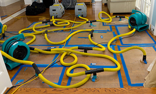 Professional Water Extraction technician working in Summit, UT